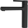 Noir mat