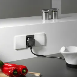 Prise encastrable BACHMANN DUE 2 x 230 V / Blanche