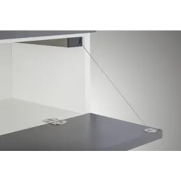Charnière pour portes pliantes et relevables / Nickel