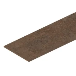 Chant ABS pour plan de travail Ferro bronze F302