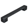 Patine noire