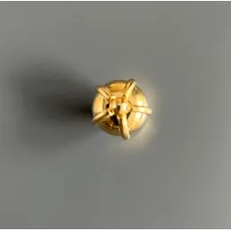Poignée bouton en plastique CROWN / Doré