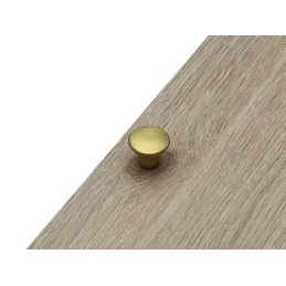 Bouton de meuble HELGA / Or mat satiné