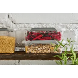 Boîte alimentaire antibactérienne 0,5 l / Transparente