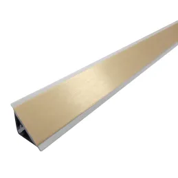 Barre d’étanchéité L20/T dorée brossée