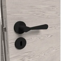 Poignée de porte sur rosace AISHA / Noir mat