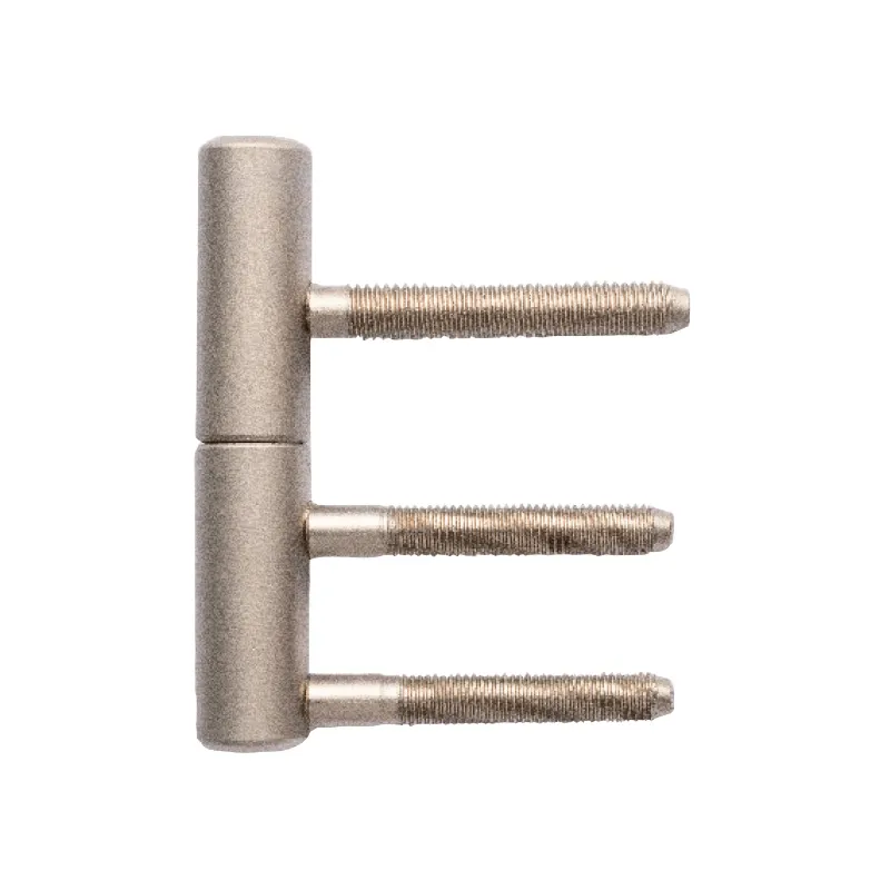 Charnière de porte 3D BAKU / Nickel satiné