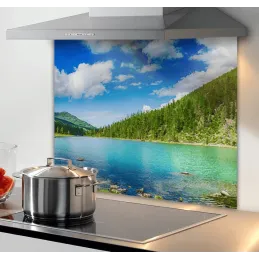 Protection murale en verre pour plaque de cuisson 600 mm / Panorama