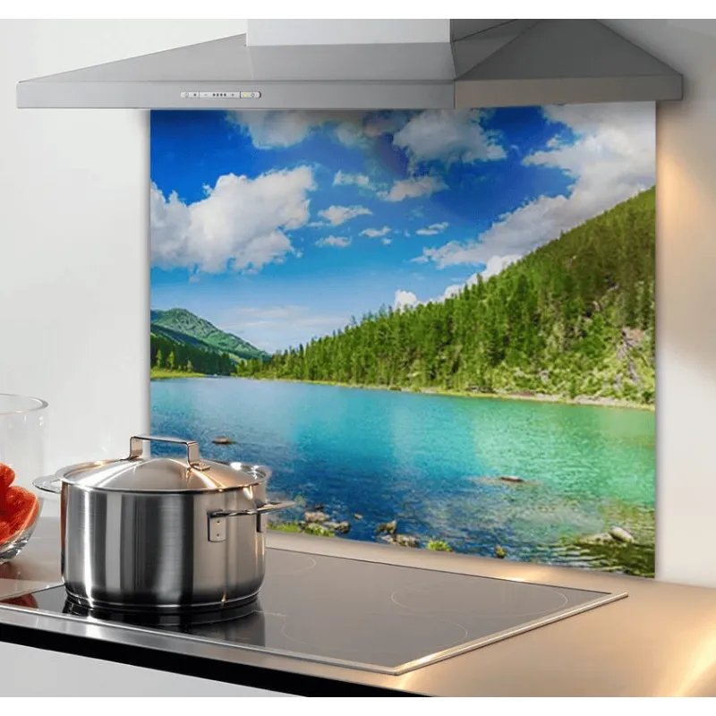 Protection murale en verre pour plaque de cuisson 600 mm / Panorama