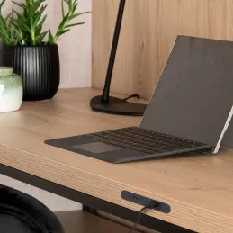 Module de recharge pour meuble LINKY USB A+C / Noir mat