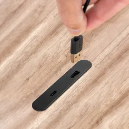 Module de recharge pour meuble LINKY USB A+C / Noir mat