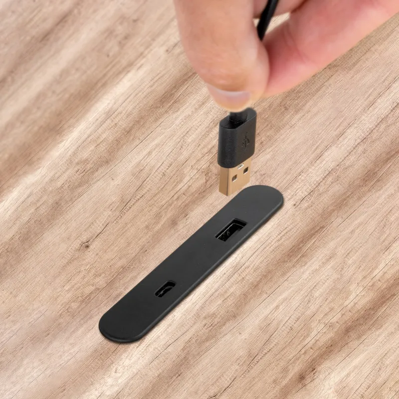 Module de recharge pour meuble LINKY USB A+C / Noir mat