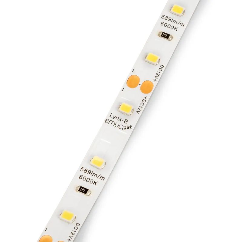 Ruban LED LYNX Basic - 12V - 4,8W - 5m