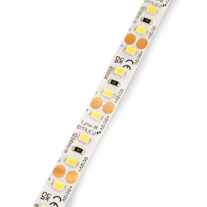 Bande LED LYNX Basic - 12 V - 9,6 W - 5 m