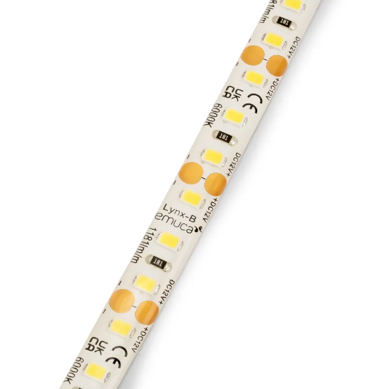 Ruban LED LYNX Basic étanche IP65 - 12 V - 9,6 W - 5 m