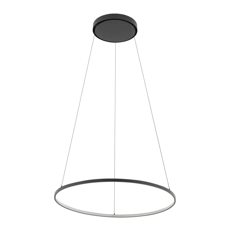 Plafonnier LED CIRCOLO M UNO 600 mm / Noir mat