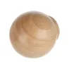 Hêtre