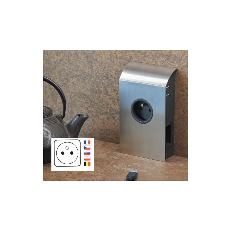 Prise encastrable BORN FRENCH 2 x 230 V + 2 x USB / Inox