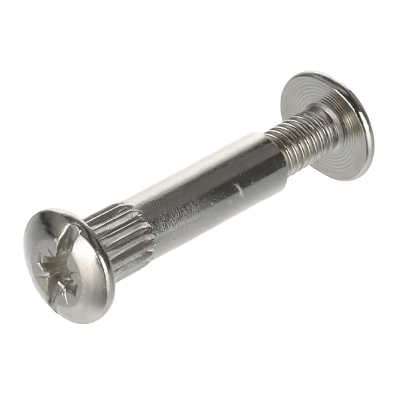 Set de vis d’assemblage M6x30 / 50 pièces