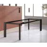 Noir mat