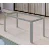 Acier inoxydable