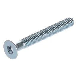 Vis pour écrou à rouleau M6 – six pans / 10 pièces