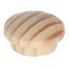 Pin brut