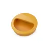Pin sylvestre