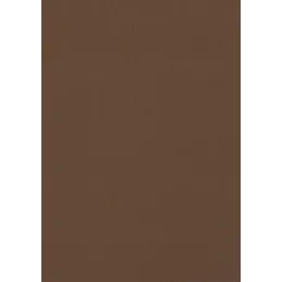 Chant ABS EGGER métal brossé bronze F528/ST20