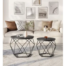 Ensemble de 2 tables basses ORION / Noir mat – bois noir