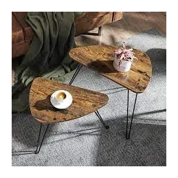 Set de 2 tables basses LION / Noir mat – bois vintage