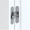 Chrome mat brossé