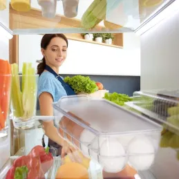 Organiseur à œufs pour réfrigérateur LUNIA / Transparent