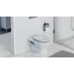 Siège de toilette WC avec fermeture en douceur / Marbre