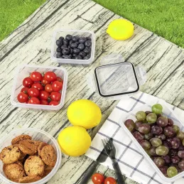 Set de 24 boîtes alimentaires antibactériennes FRESH / Transparentes
