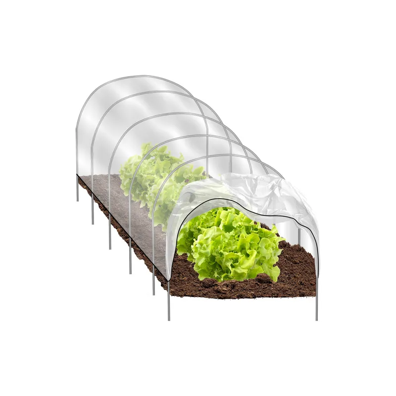 Serre de jardin TUNNEL / Transparente