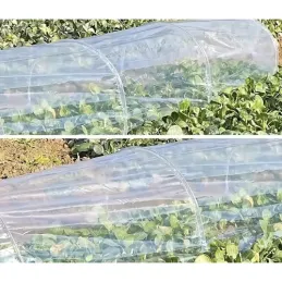 Serre de jardin TUNNEL / Transparente