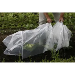 Serre de jardin TUNNEL / Transparente