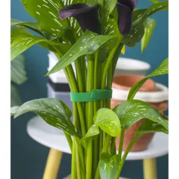 Ruban auto-agrippant de jardinage pour le jardin et les fleurs, 5 m / Vert