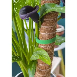 Ruban auto-agrippant de jardinage pour le jardin et les fleurs, 5 m / Vert