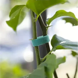 Ruban auto-agrippant de jardinage pour le jardin et les fleurs, 5 m / Vert