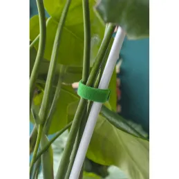 Ruban auto-agrippant de jardinage pour le jardin et les fleurs, 5 m / Vert