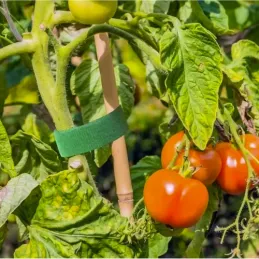 Ruban auto-agrippant de jardinage pour le jardin et les fleurs, 5 m / Vert