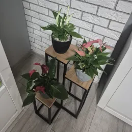 Support à fleurs à 3 niveaux GARDEN / Noir - bois