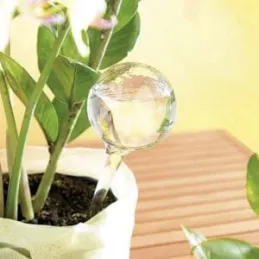 SET DE 8 DISTRIBUTEURS D’EAU AUTOMATIQUES POUR PLANTES EN POT / Transparent