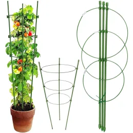 Support pour fleurs et légumes 600 mm / Vert