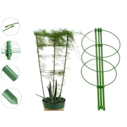 Support pour fleurs et légumes 600 mm / Vert