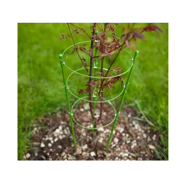 Support pour fleurs et légumes 600 mm / Vert
