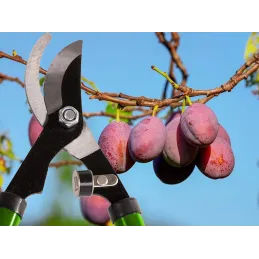 Pince de jardin XXL CUT / Vert