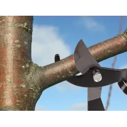 Pince de jardin XXL CUT / Vert